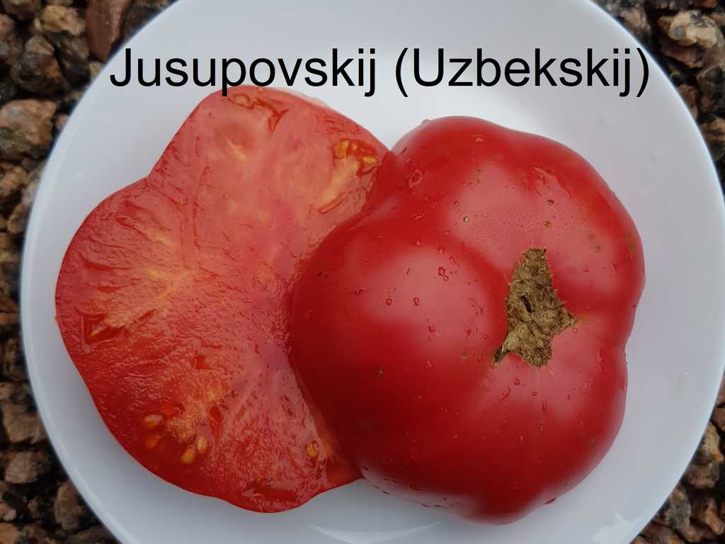 Jusupovskij (Uzbekskij)